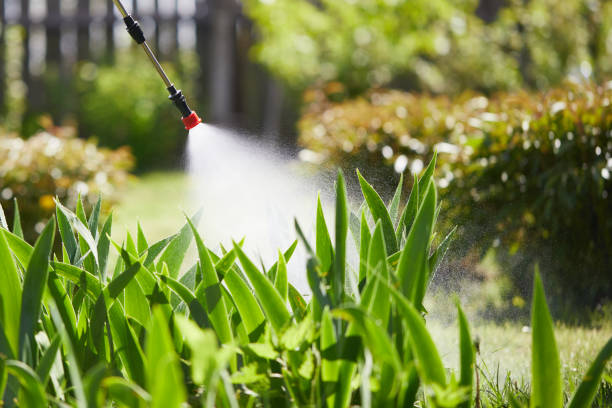 Tamper-Resistant Bait Stations for Rodents in Stratford