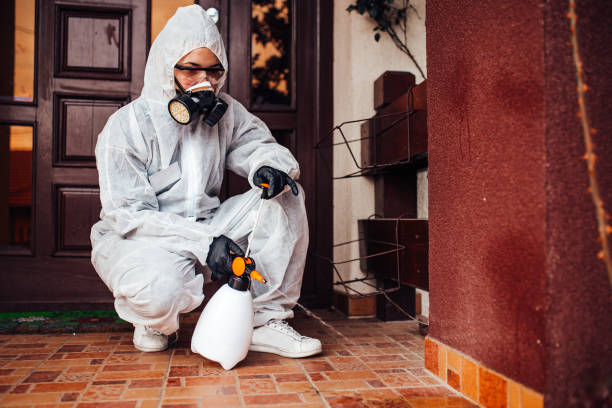 Attic and Crawl Space Rodent Treatment in Stratford